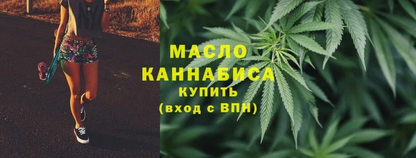 индика Магас