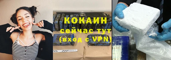 индика Магас