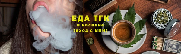 индика Магас