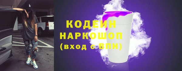 индика Магас