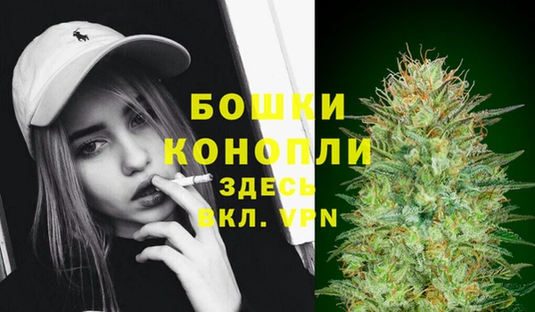 индика Магас