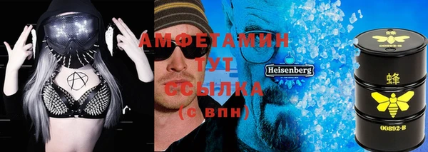 индика Магас